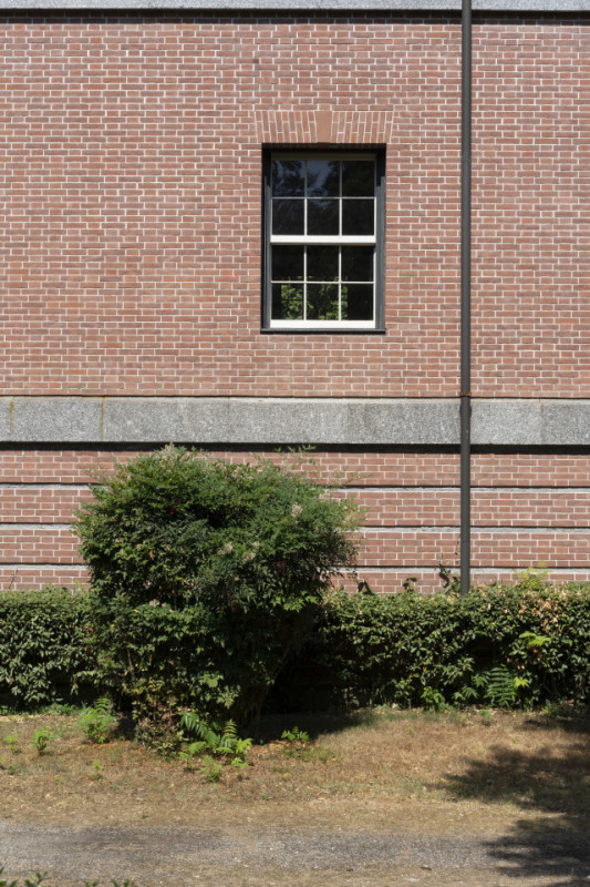 felpa74 namesia 52 (5)