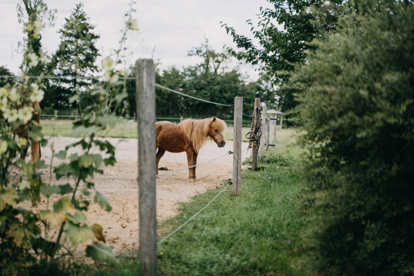 pluche74 natuur landgoed buiten berlijn 21
