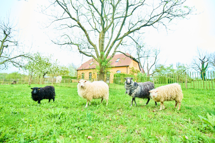 pluche74 natuur landgoed buiten berlijn 29