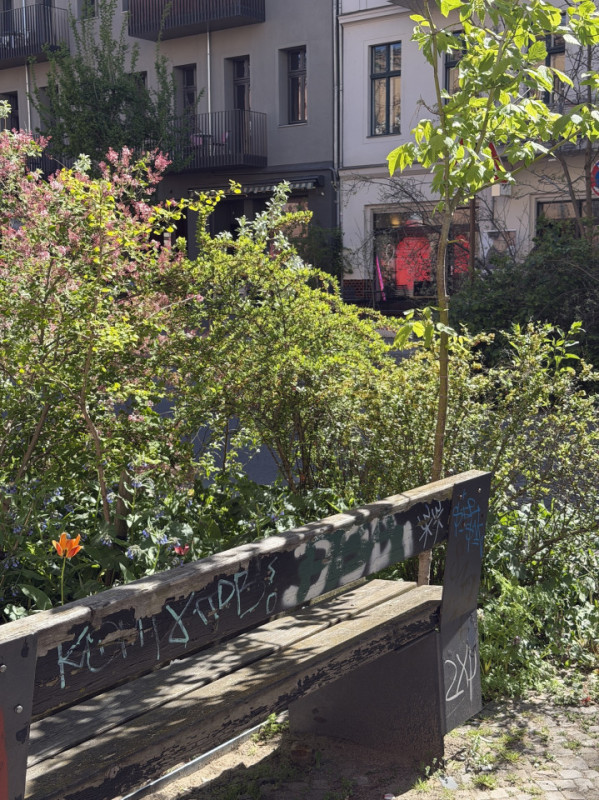 plush74 oderbergerstrasse 10