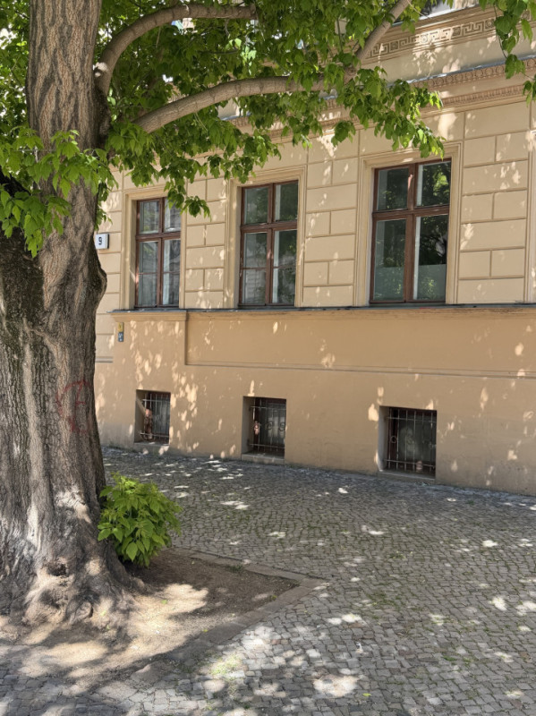 plush74 oderbergerstrasse 34