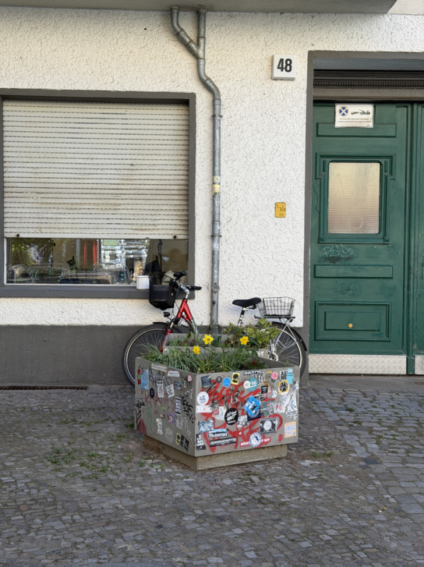 plush74 oderbergerstrasse 72 (1)