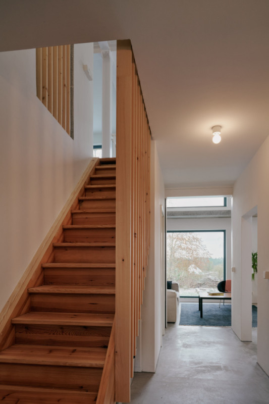 plush74 palais brut 11