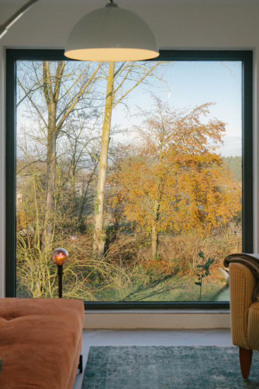 plush74 palais brut 12