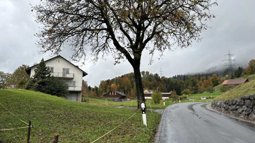 plush74 peters house gebertingen 11 (2)