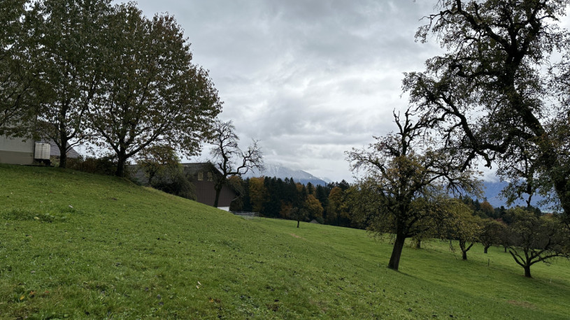 plush74 peters house gebertingen 15