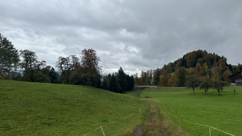 plush74 peters house gebertingen 7 (1)