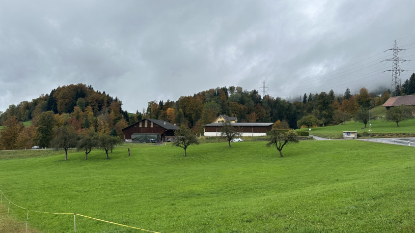 plush74 peters house gebertingen 7 (2)