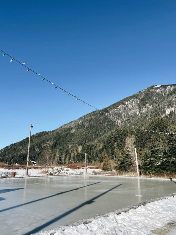 peluche74 foto film evento location vancouver foresta casa privata canada luminoso rustico casa cabina 17