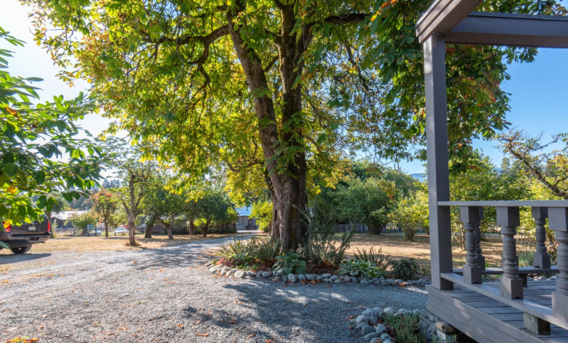 peluche74 película fotográfica lugar del evento isla de vancouver granja casa privada duncan 38