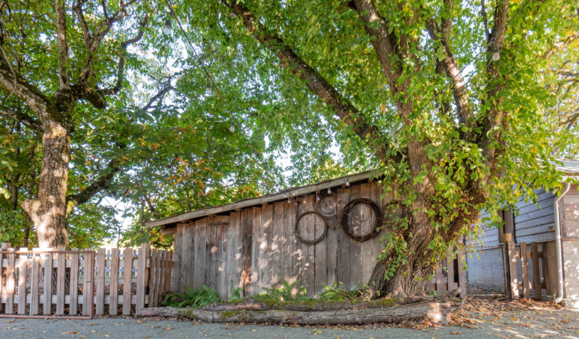 felpa74 película fotográfica lugar del evento isla de vancouver granja casa particular duncan 46