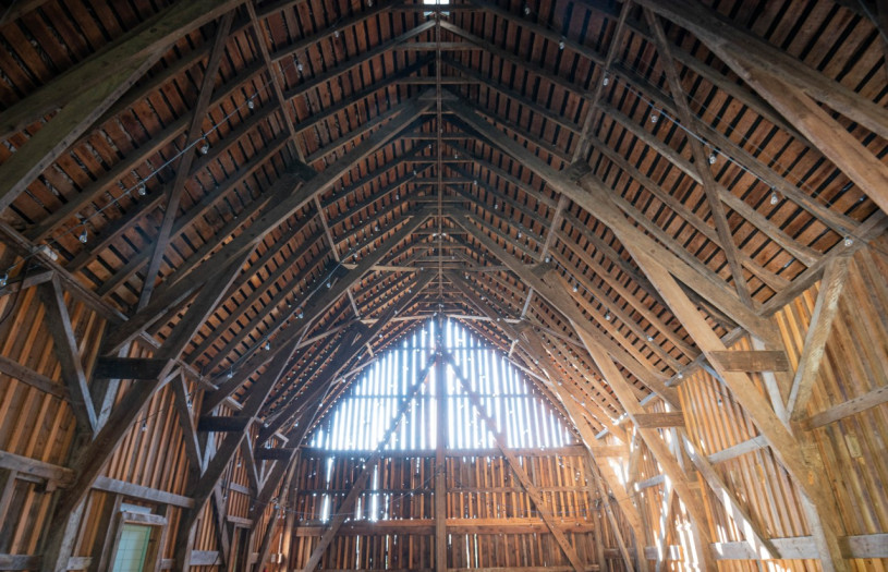 peluche74 película fotográfica lugar del evento isla de vancouver granja casa privada duncan 48