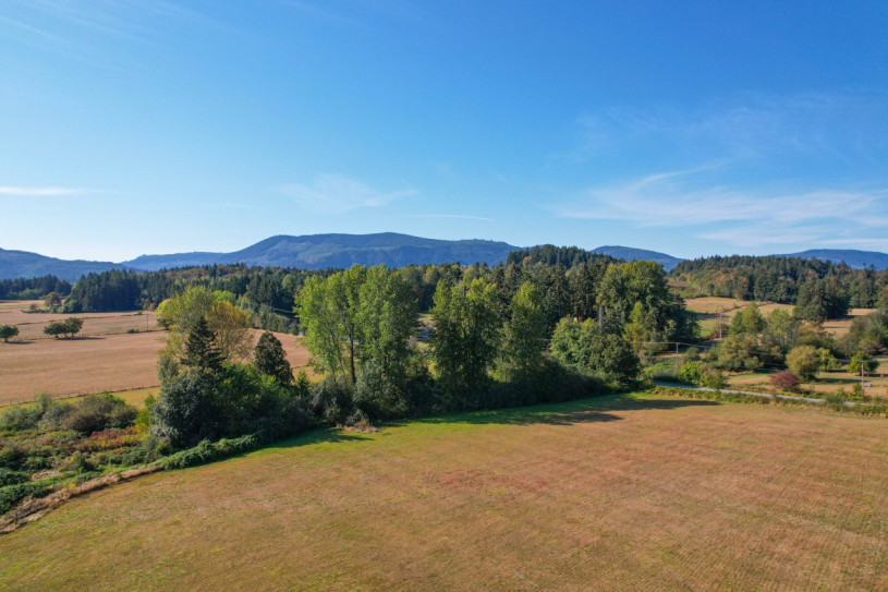 peluche74 película fotográfica lugar del evento isla de vancouver granja casa particular duncan 58