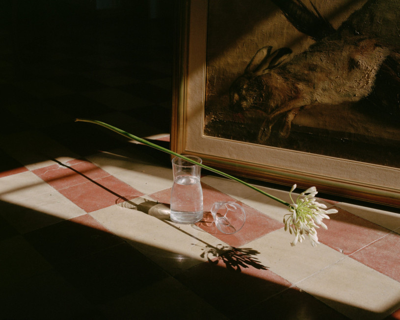 plush74 pink palazzo forli 6