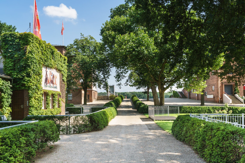 plush74 rennbahn berlin 12