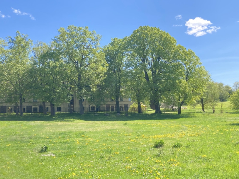 plush74 roh schönes Anwesen 6