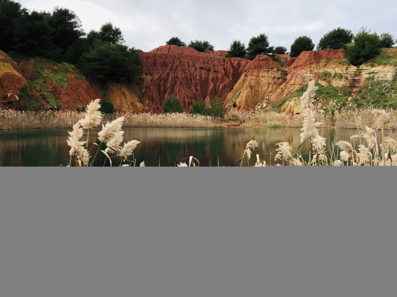 felpa74 cantera roja 5