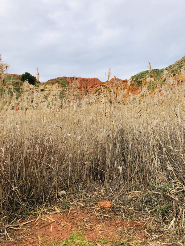 felpa74 cantera roja 9