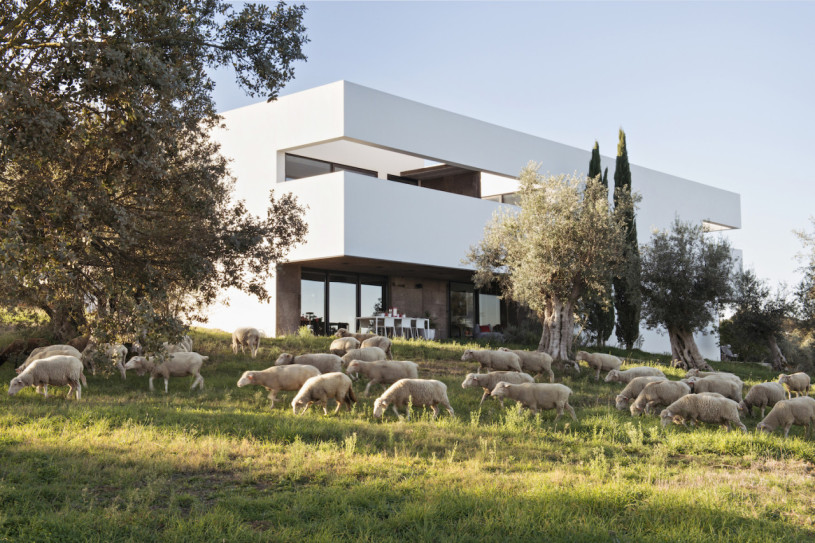 pluche74 verhuur foto film evenement villa portugal platteland00004