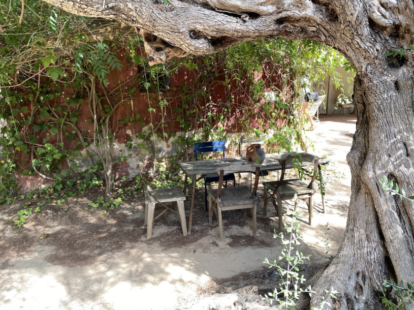 plush74 rental photo film event villa spain ibiza countryside00017