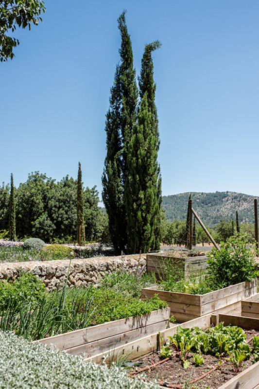 plush74 rental photo film production villa farmhouse mallorca00019