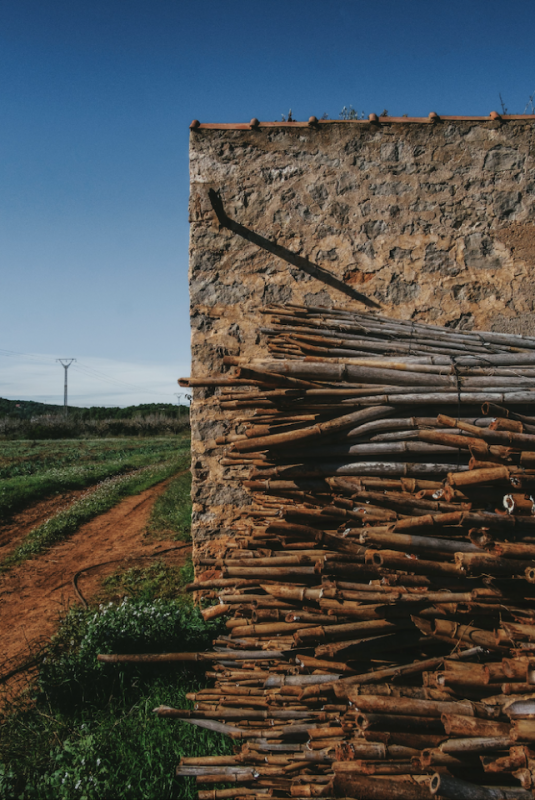 pluche74 verhuur producties locaiton foto film boerderij ibiza spanje00035