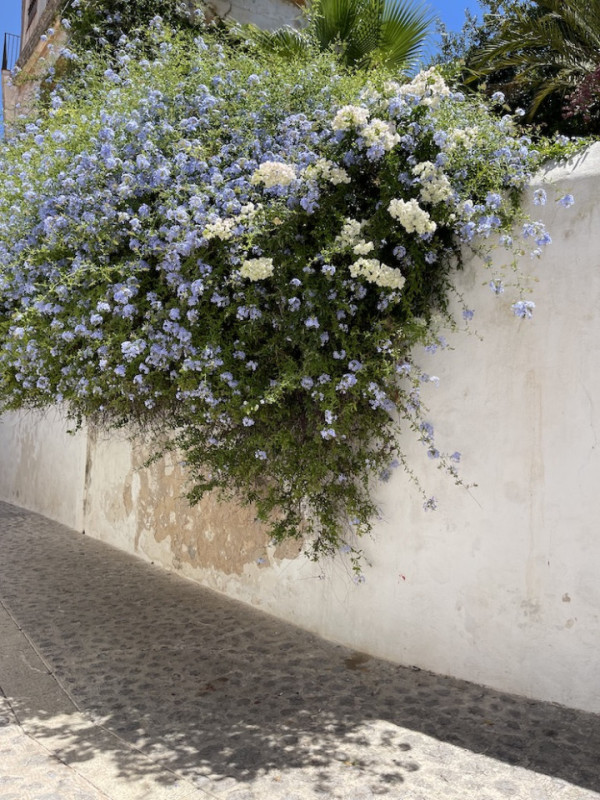 plush74 rental productions locaiton town historic ibiza spain00036