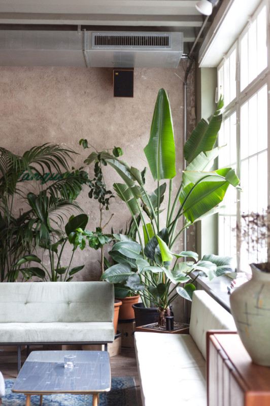 plush74 restaurant brera 1