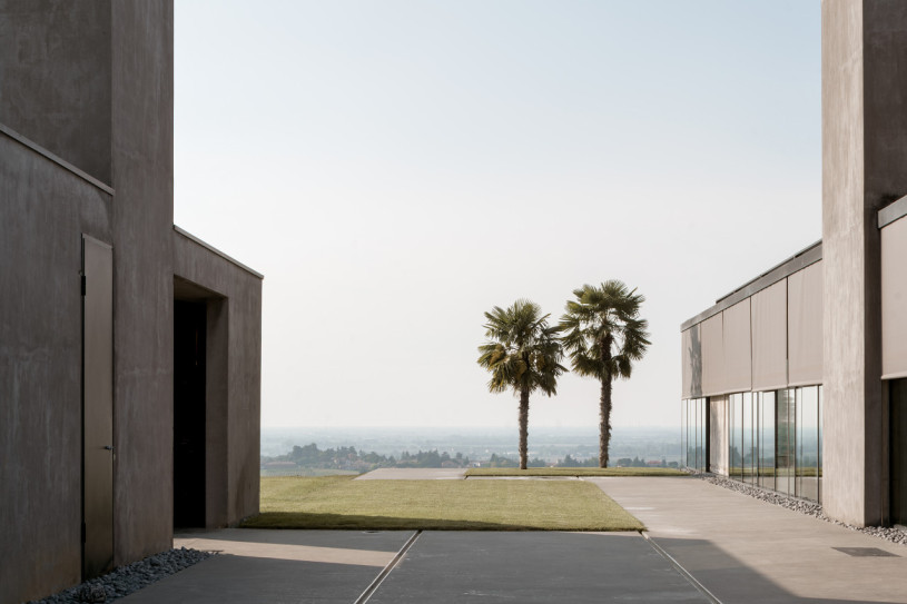 pluche74 rinoceronte 2