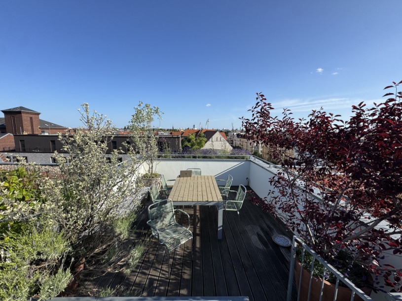 plush74 appartamento con giardino sul tetto 34 (4)