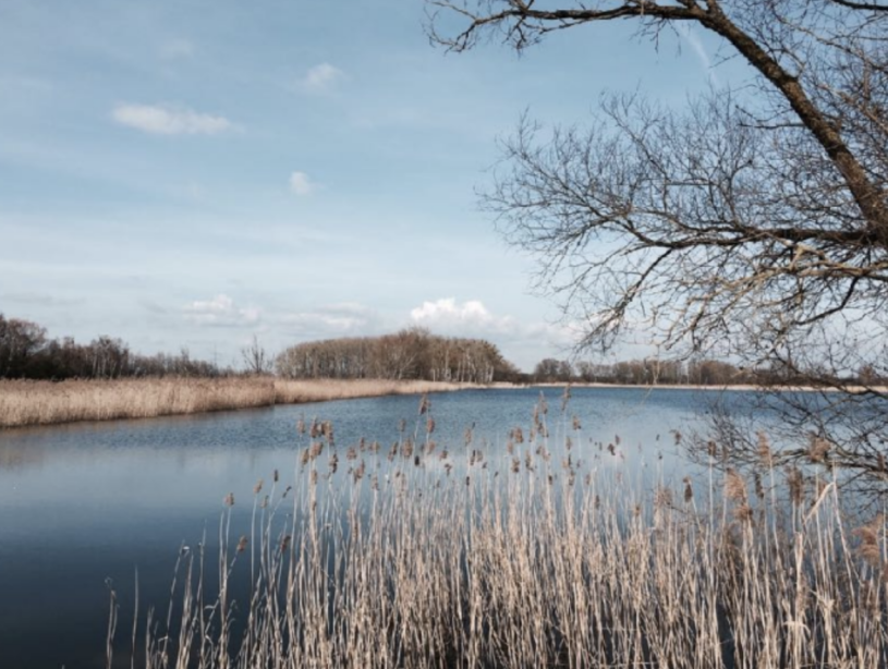 plush74 rustic country house 7