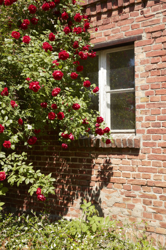 plüsch74 rustikales landhaus in der uckermark 10