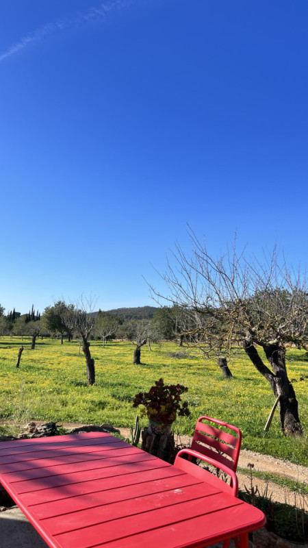 plush74 rustic finca mallorca 33