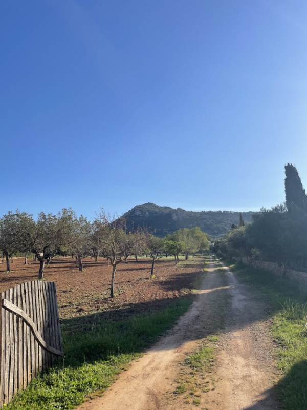 plush74 rustic finca mallorca 8