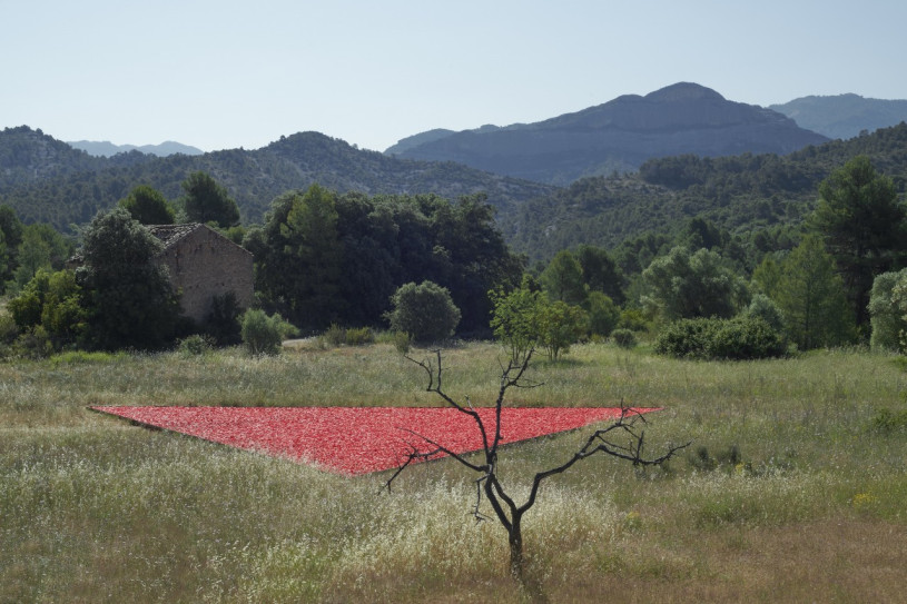 plush74 Auswahl ssgs 11