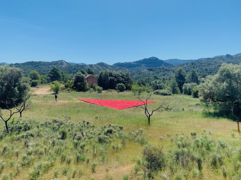 plush74 Auswahl ssgs 12