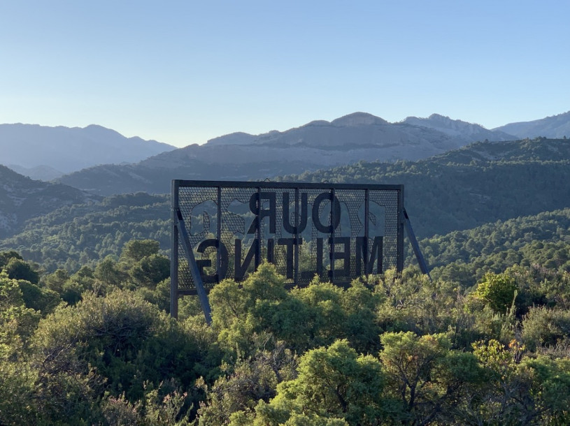 plush74 Auswahl ssgs 13