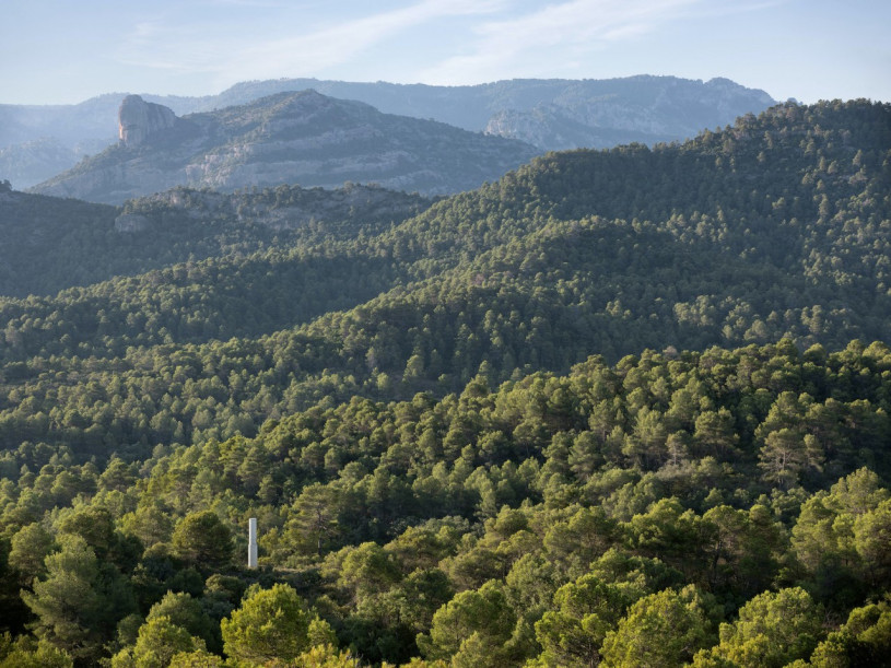 plush74 Auswahl ssgs 4