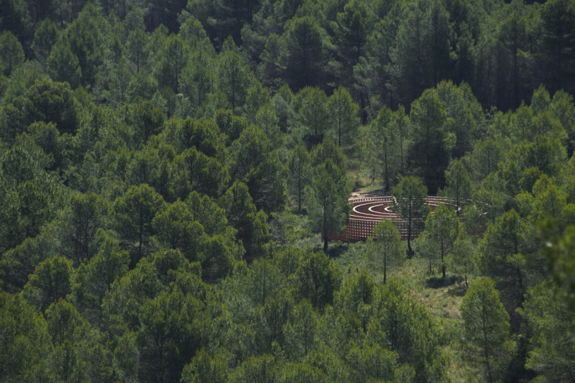 plush74 Auswahl ssgs 5