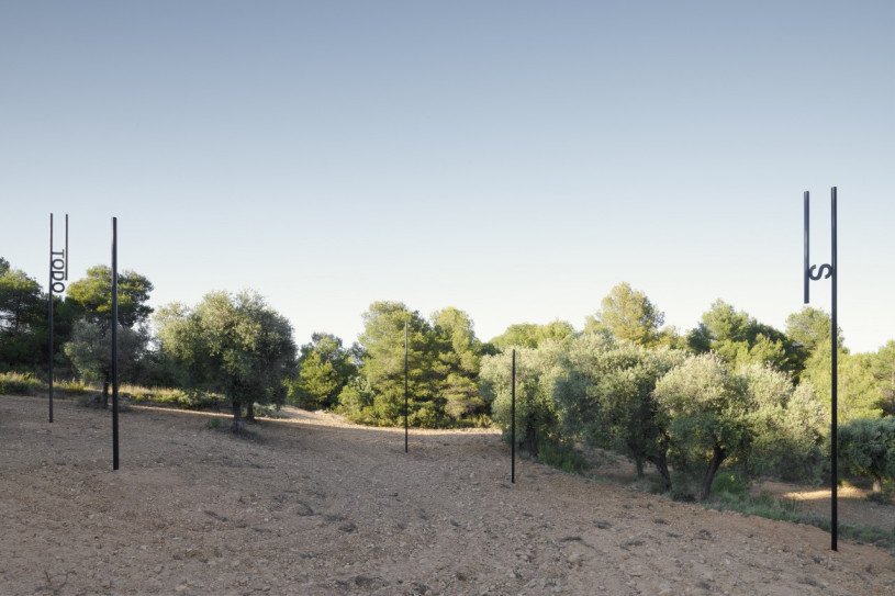 plush74 Auswahl ssgs 7