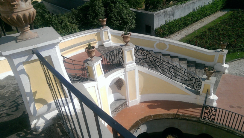 plush74 street scene in naples 10(1)