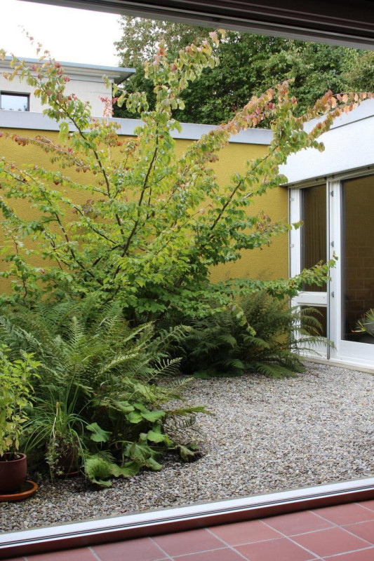 plush74 swiss design apartment 64