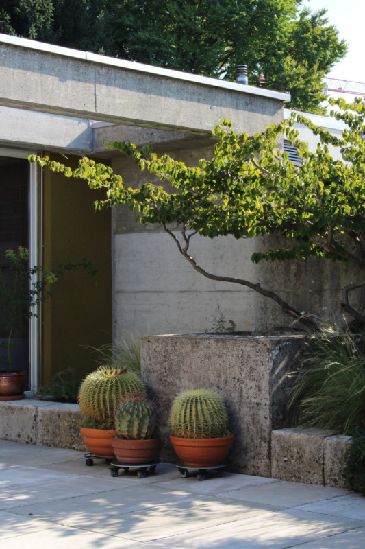 plush74 swiss design apartment 66