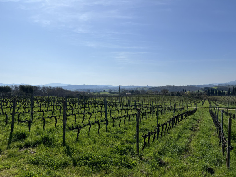 plush74 tenuta toscana 45