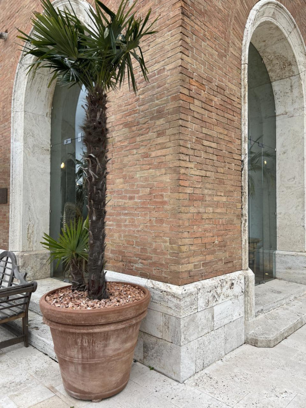 plush74 tenuta toscana 59