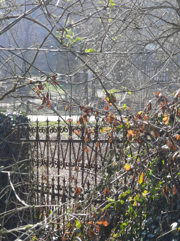 pluche74 het glazen country clubhuis 19 (1)