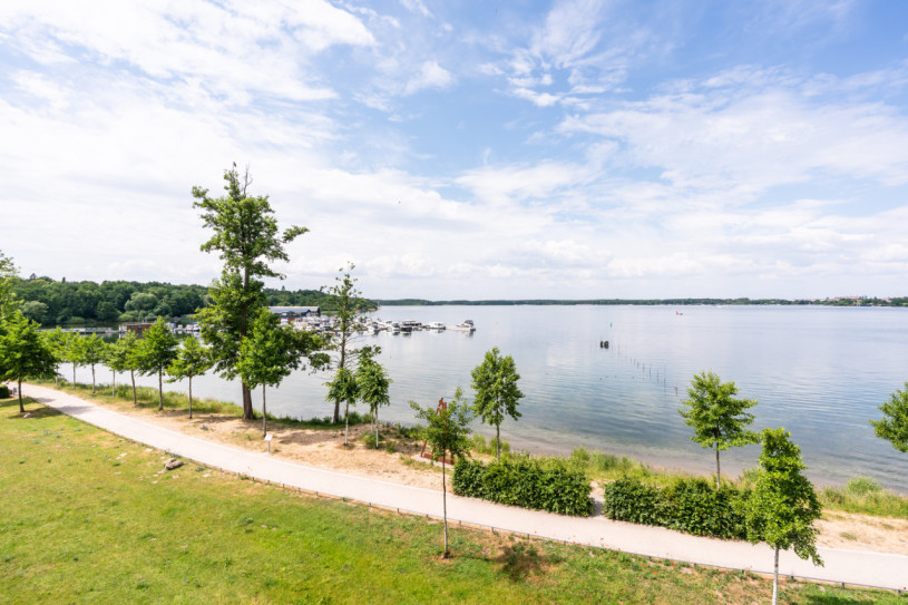 plush74 the marina 46