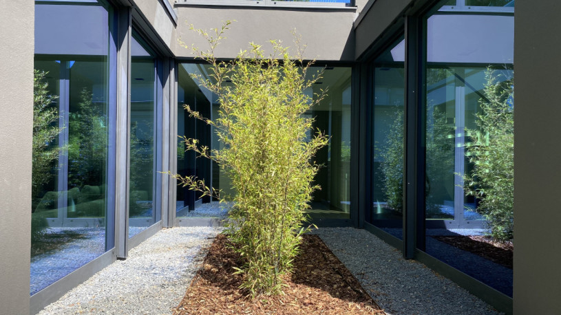 plush74 the sunlit lake house 13 (3)