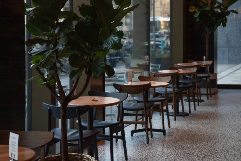 peluche74 caffè vintage senza tempo 8