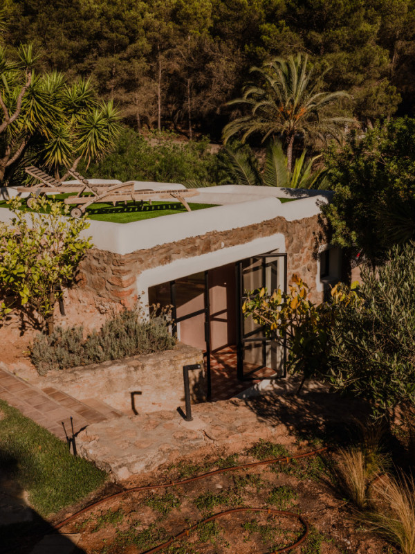 pluche74 tropische oase ibiza 24